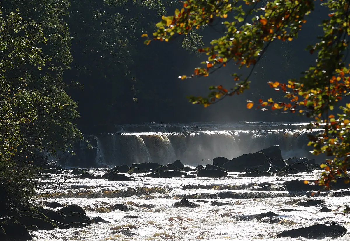 Richmond Falls