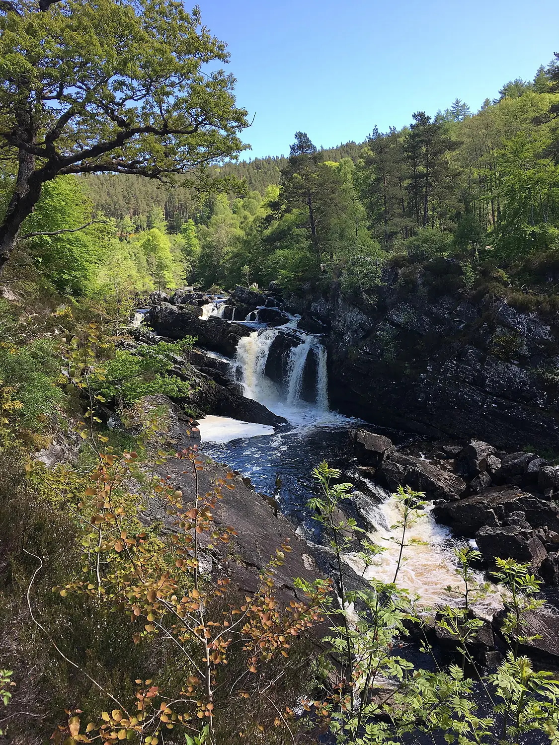 Rogie Falls - panoramio (3)