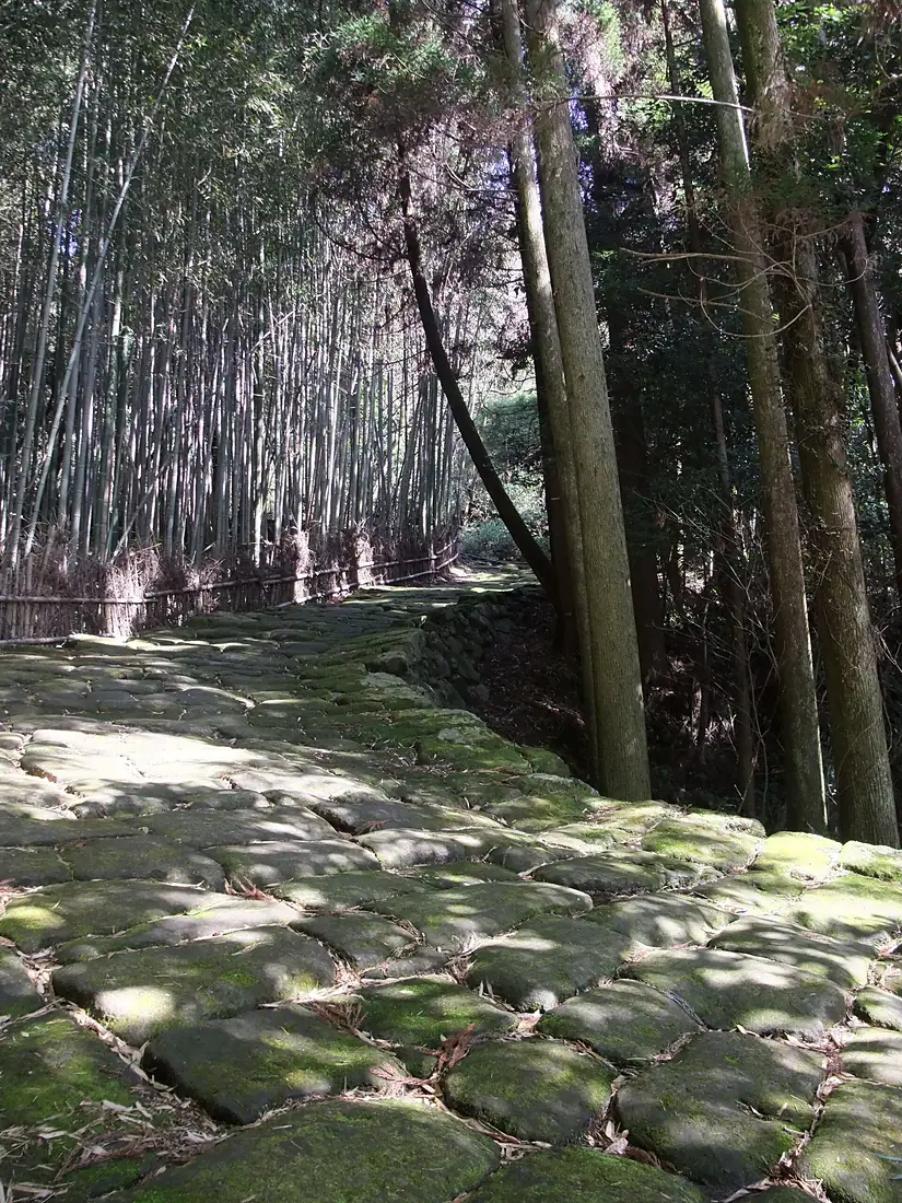 龍門司坂 - panoramio