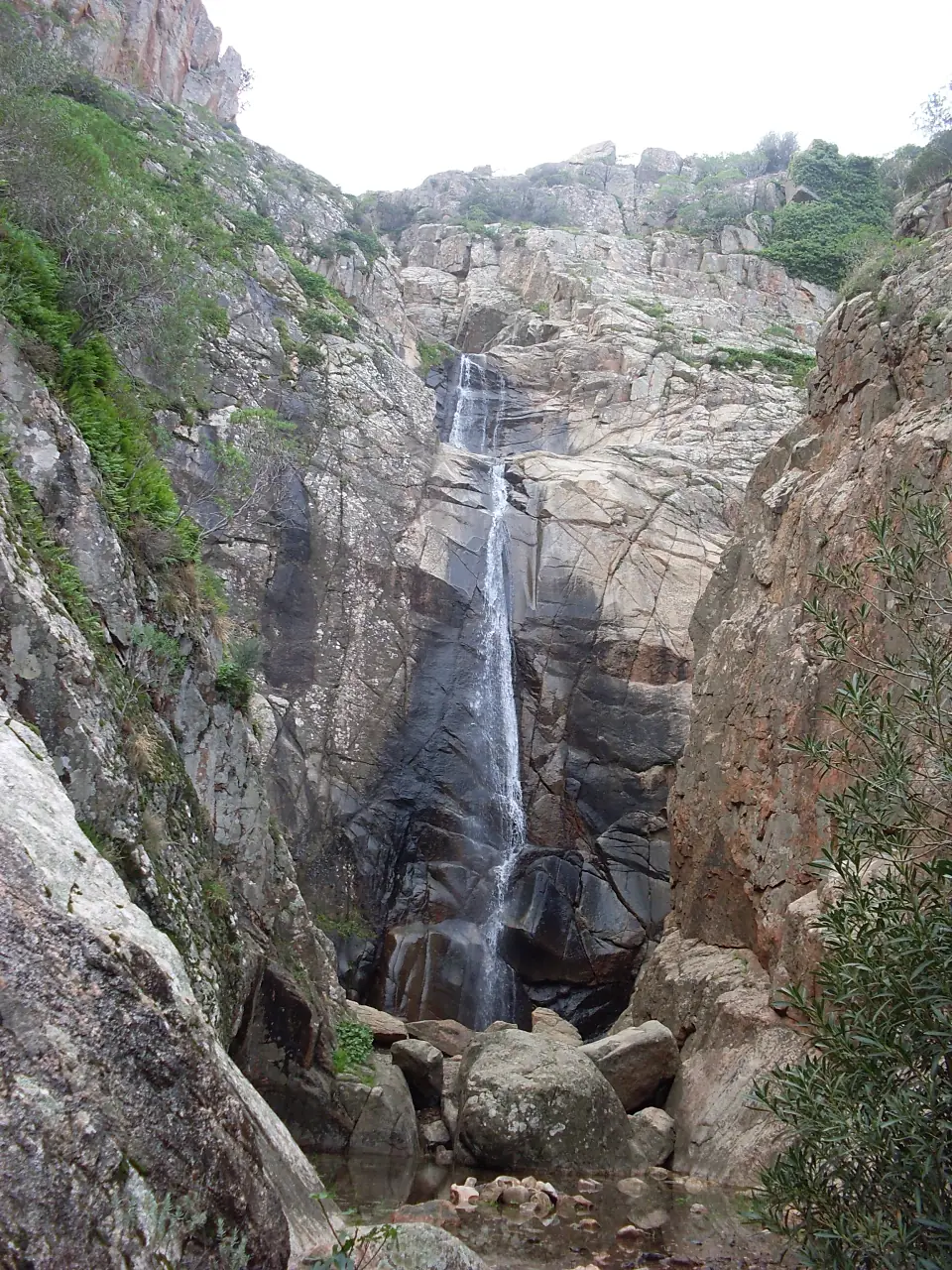 Spendula1