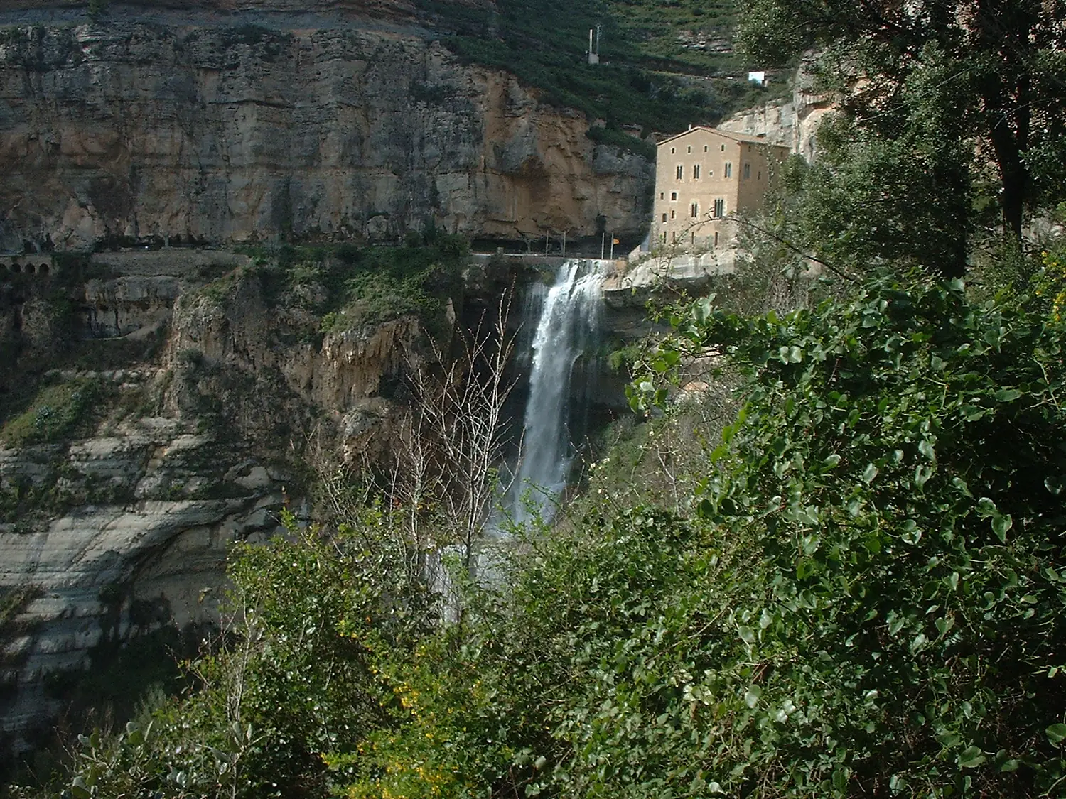 Russinyol 2004