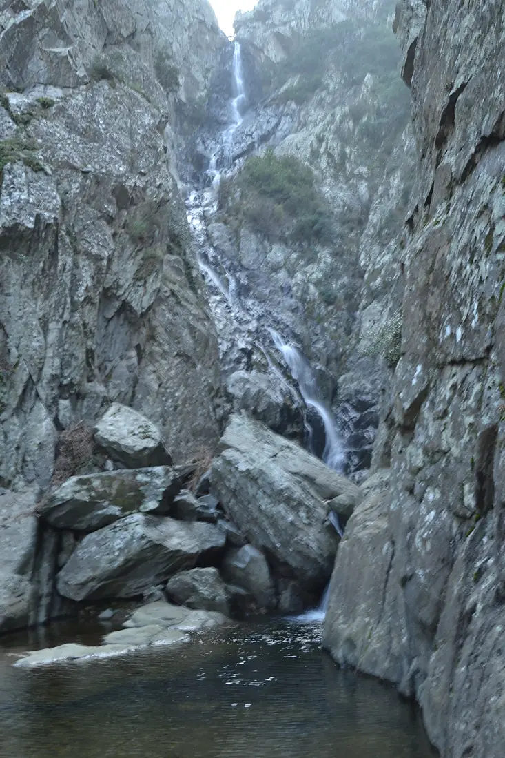 Salt del Fitó 4