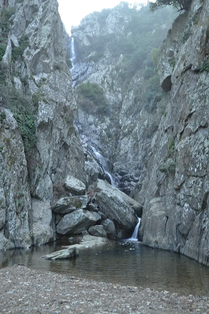 Salt del Fitó