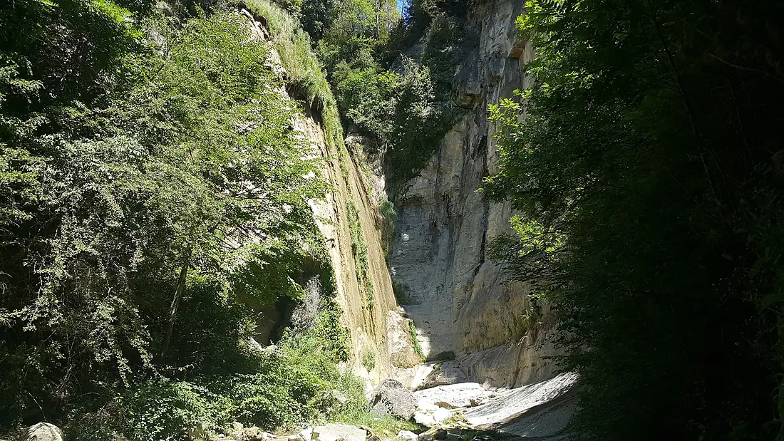 Salt del Mir