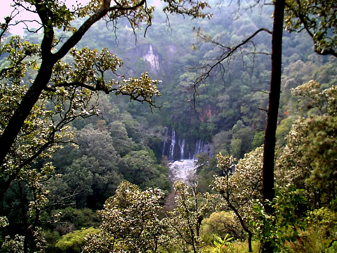 Uruapan, Mich., Mexico - panoramio