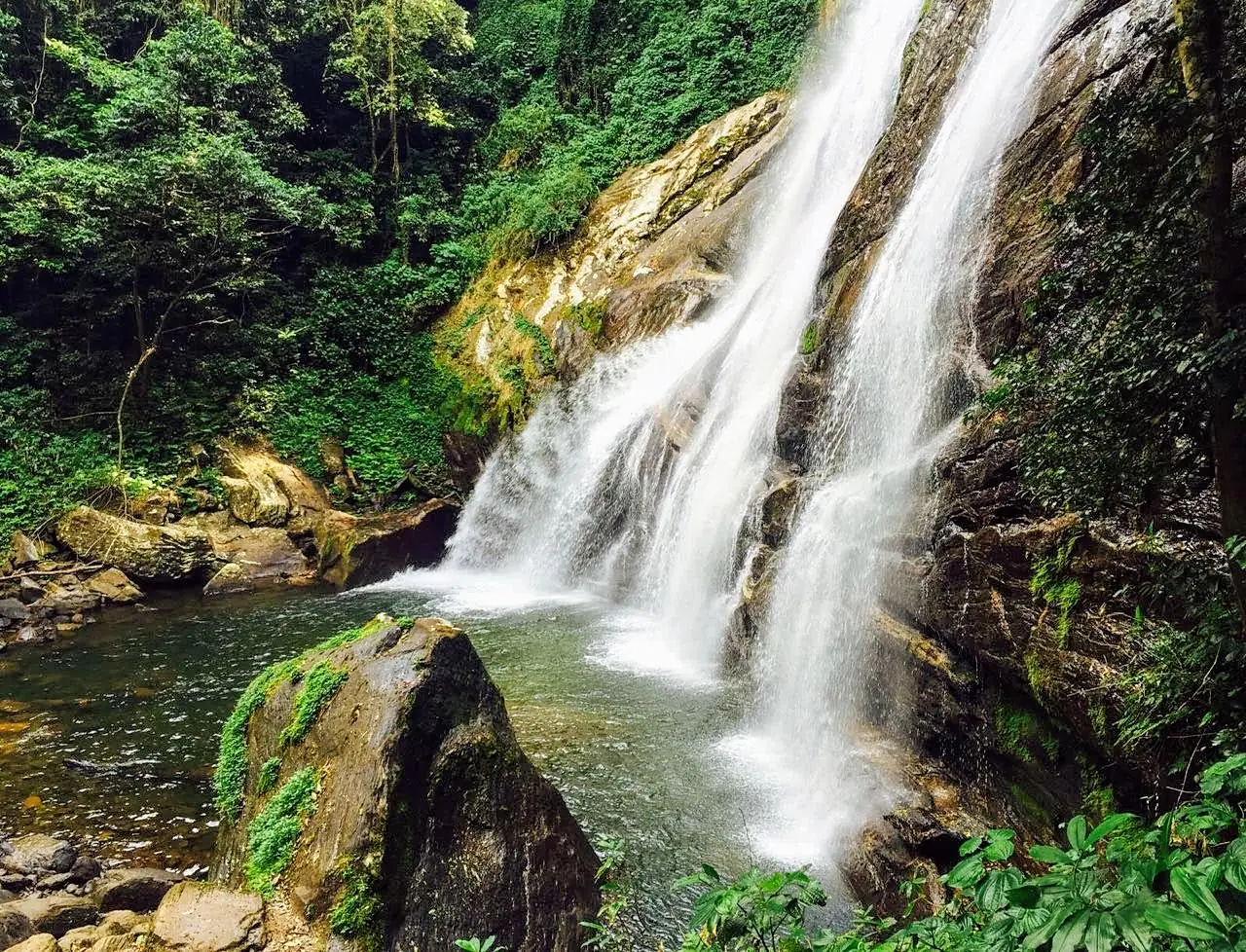 Rivers of Paradise
