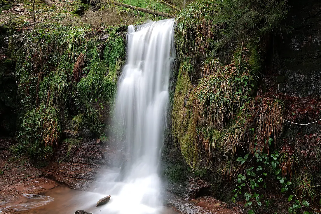 Sankenbach Waterfalls 2020-03-12 89