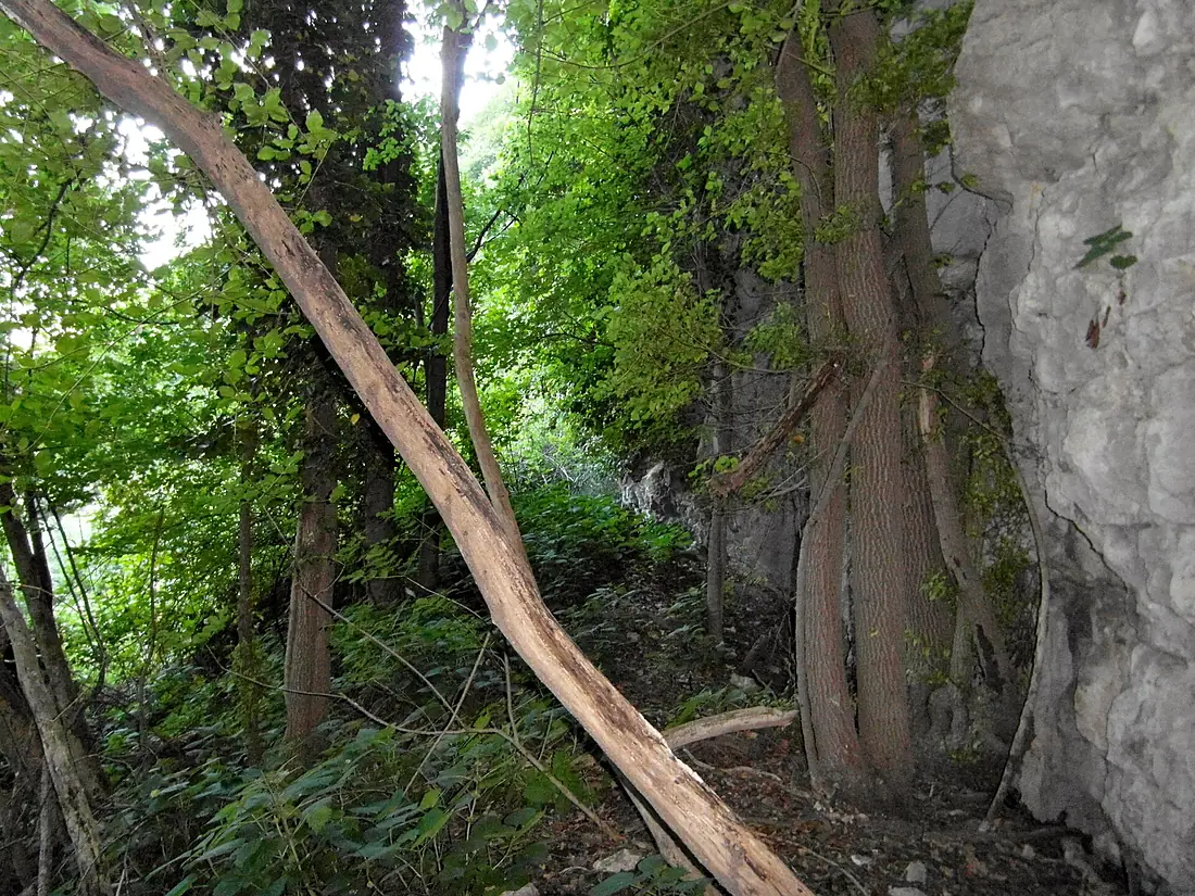 Cascata di Sardagna2