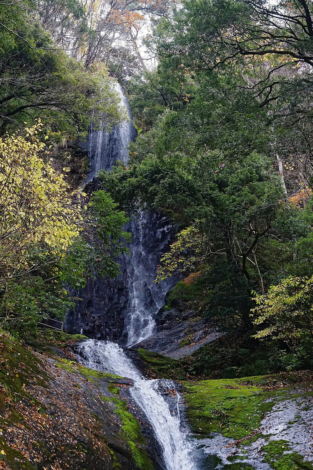 201121 Saruo Falls Kami Hyogo pref Japan03s3
