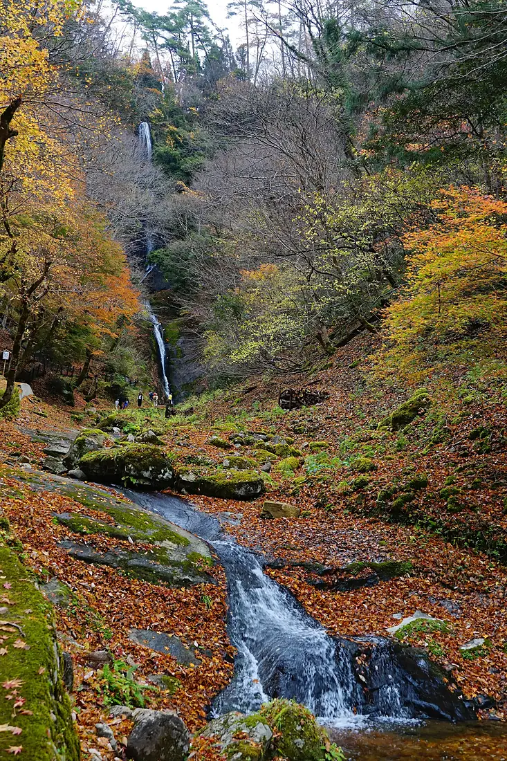 201121 Saruo Falls Kami Hyogo pref Japan01s3