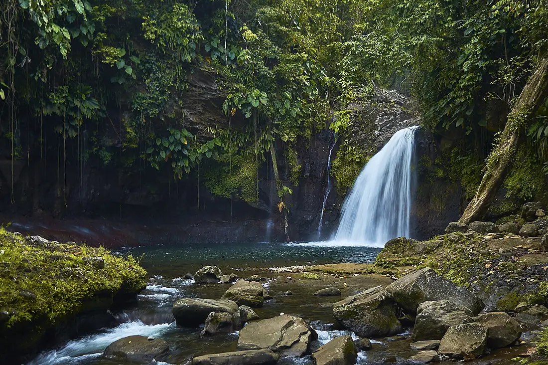 Saut de la lézarde 1