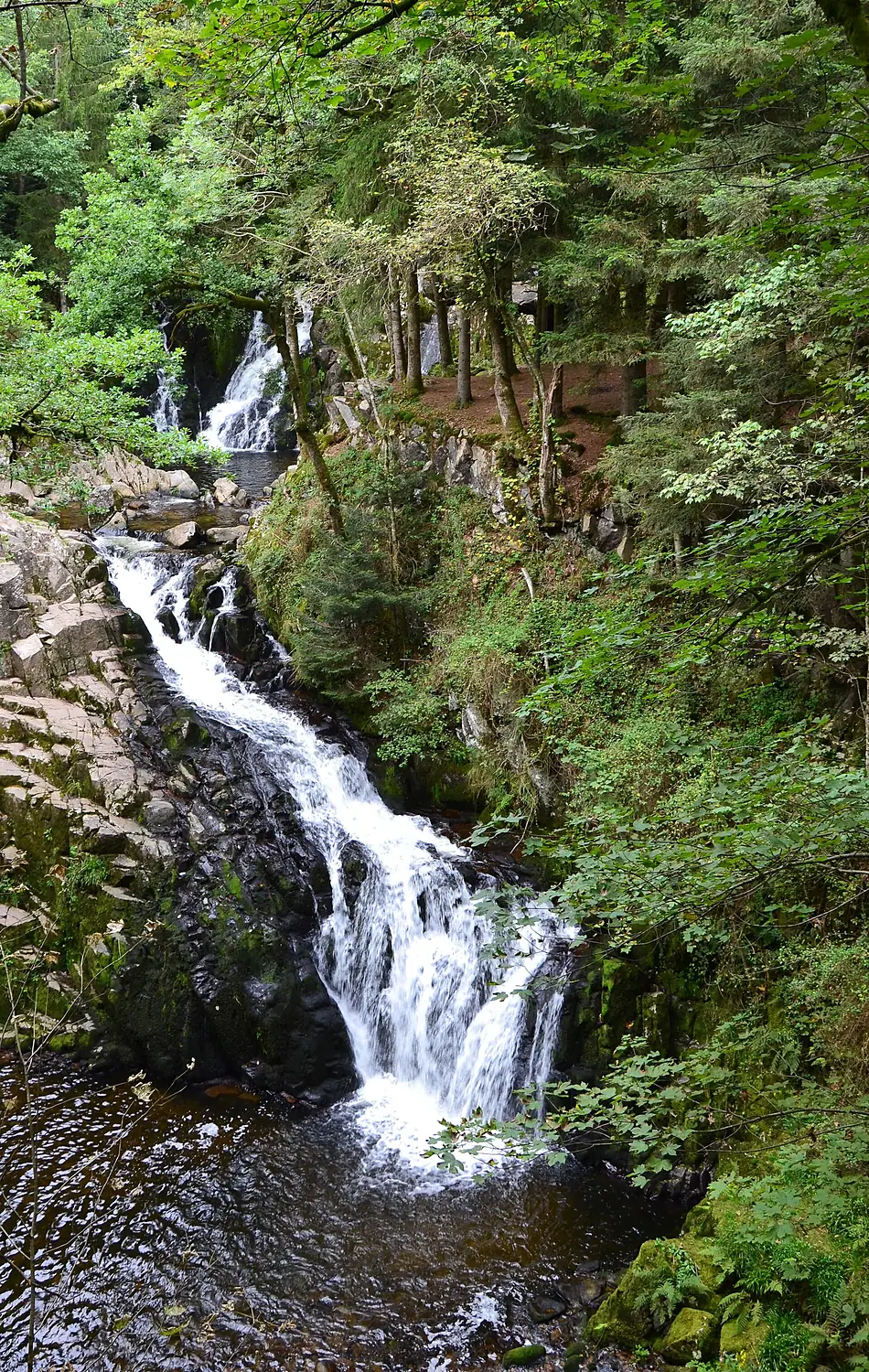 Saut du Bouchot 2014