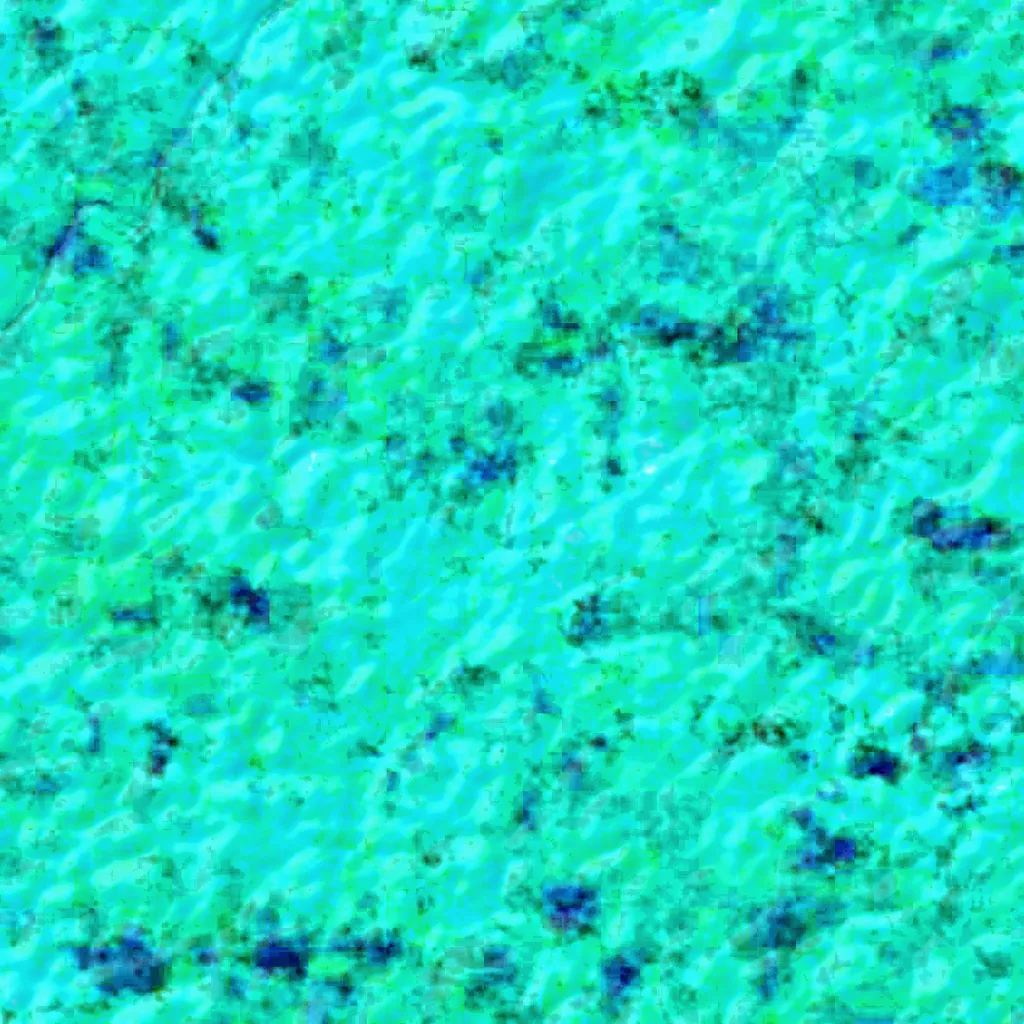 Saut Niagara seen from above (Sentinel-2)