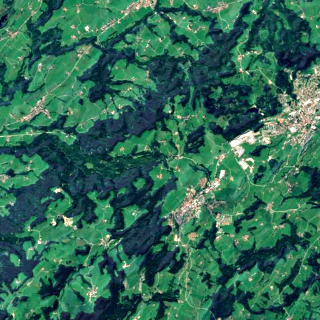 Scheidegg Waterfalls seen from above (Sentinel-2)