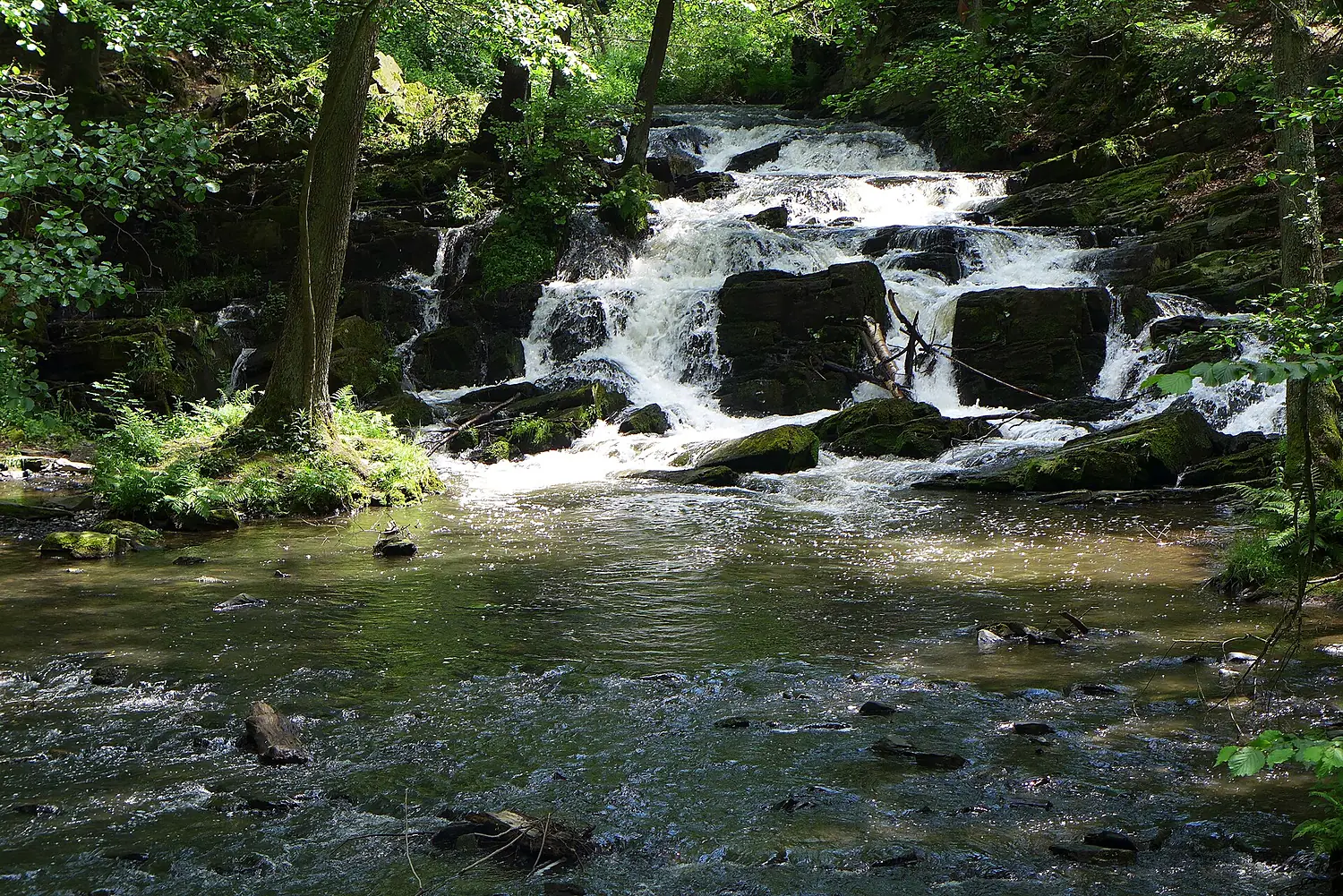 Selkefall bei Alexisbad