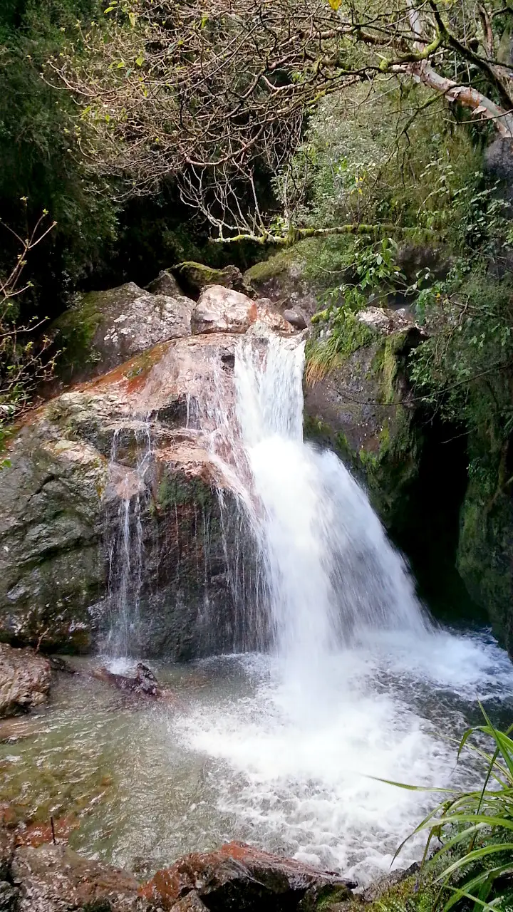 Sharplin Falls 01