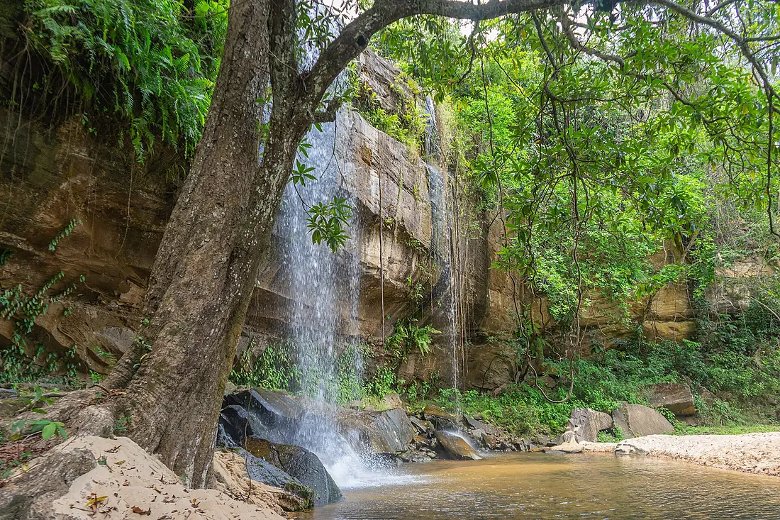 Shimba Hills, Kenya (53350921179)