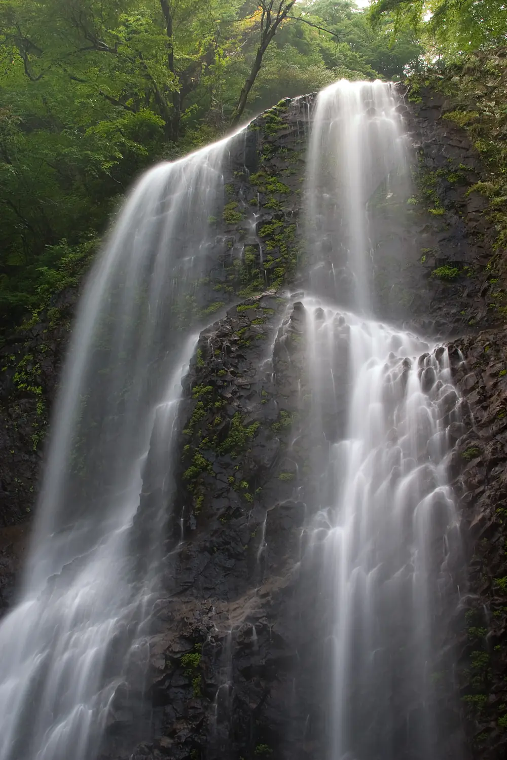 白猪の滝 - panoramio