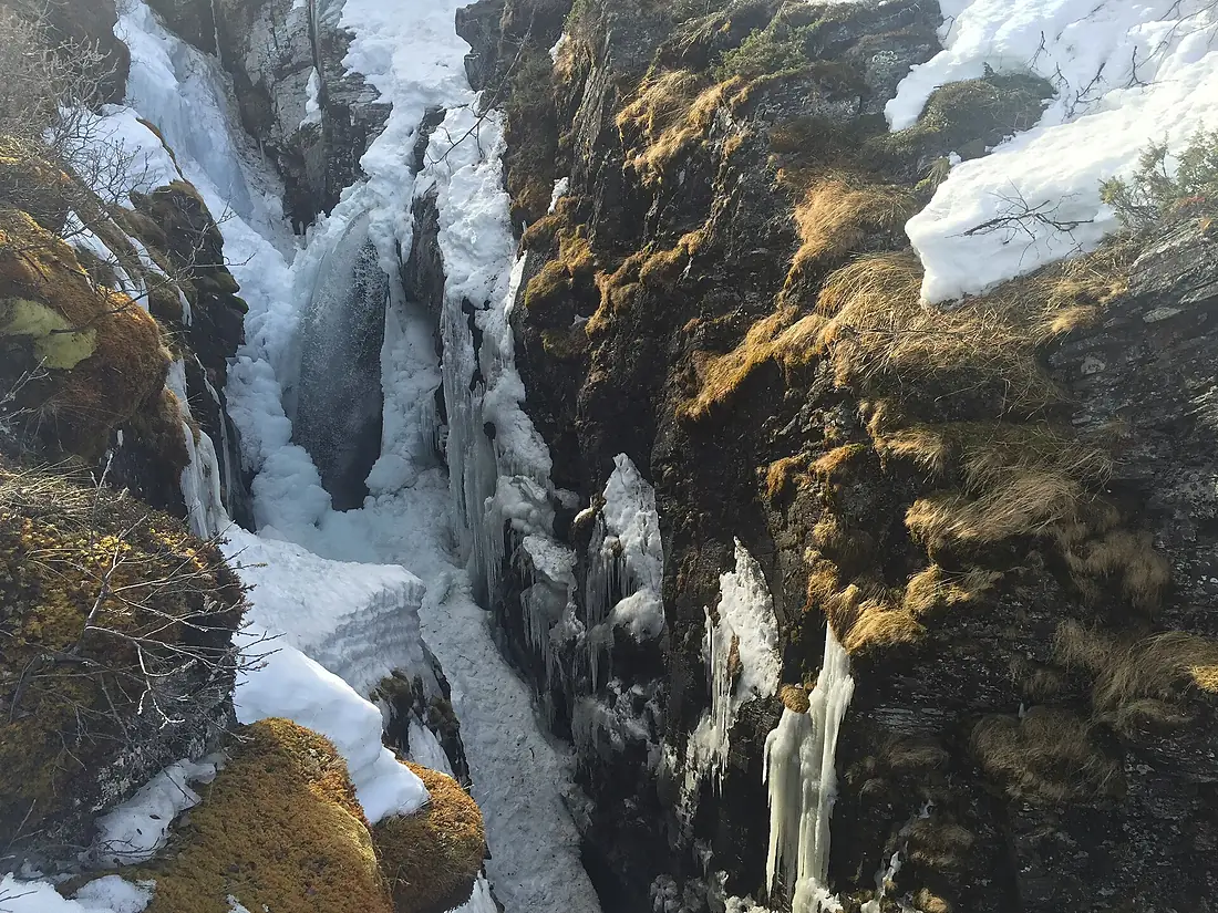 Abisko Nationalpark 10