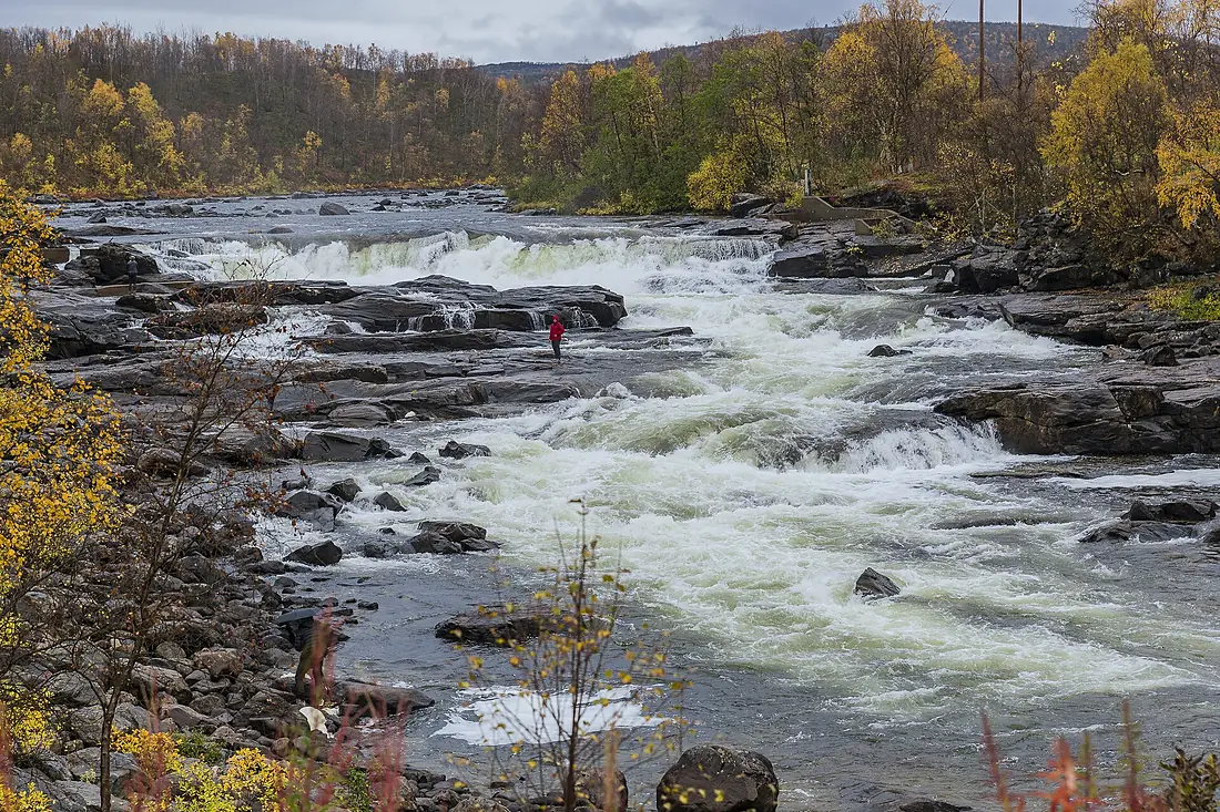 4Y1A5083 Norway (22206124708)