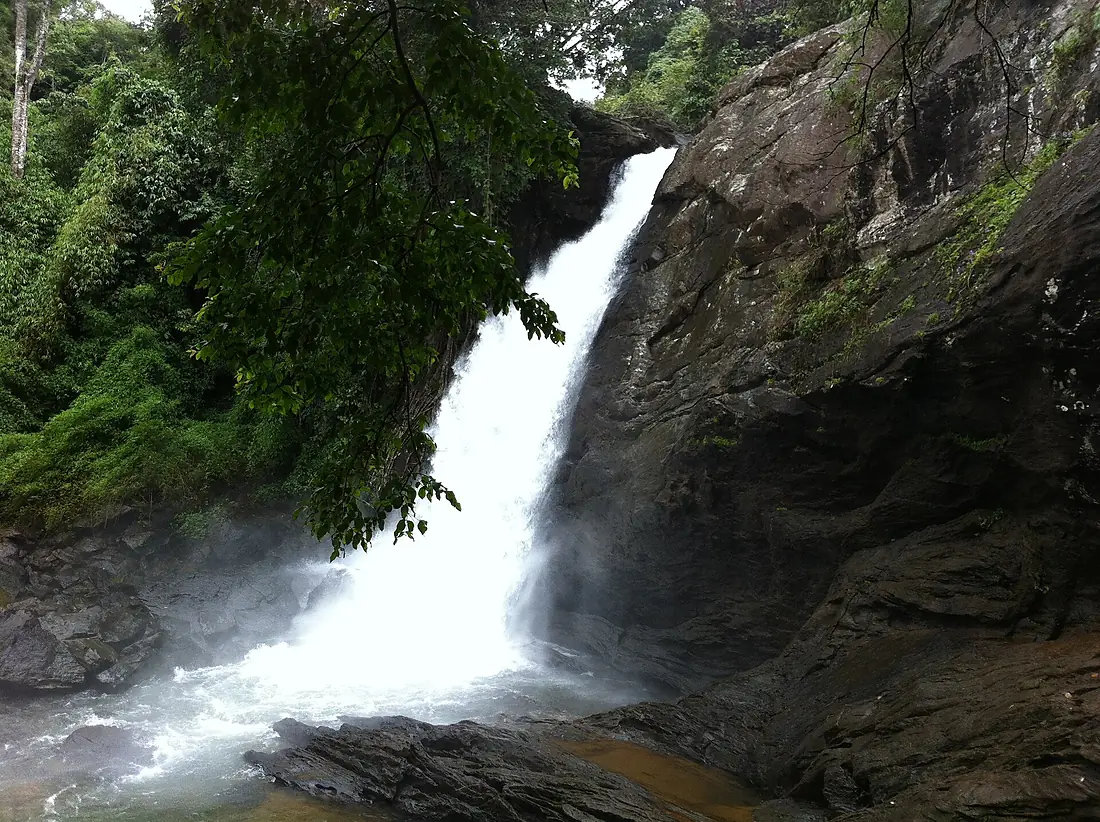 Soochipara Falls, Wayanad Kerala, 2013 (Landscape)