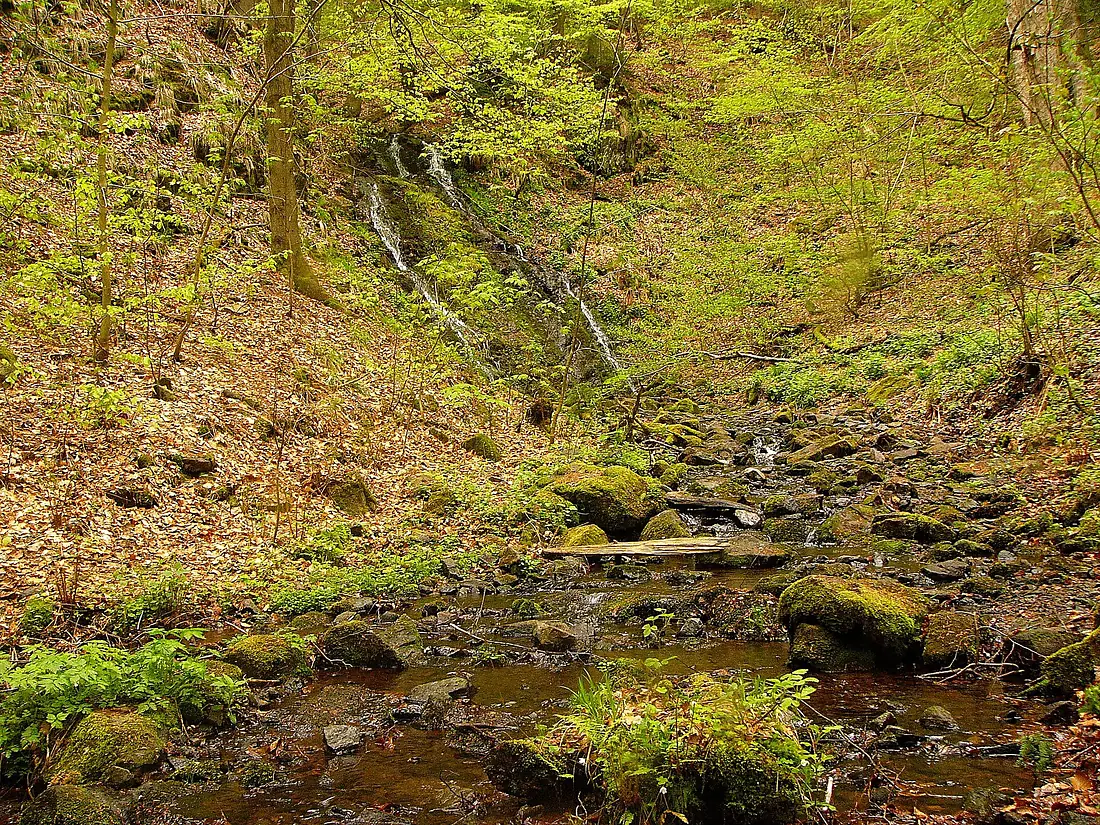 Spitterfall (Ebertswiese)