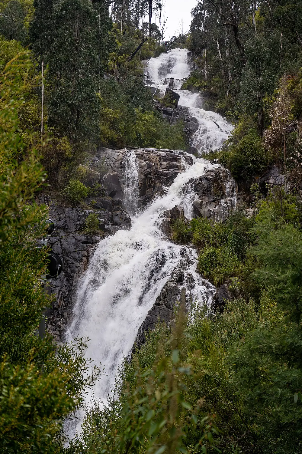 Steavenson Falls