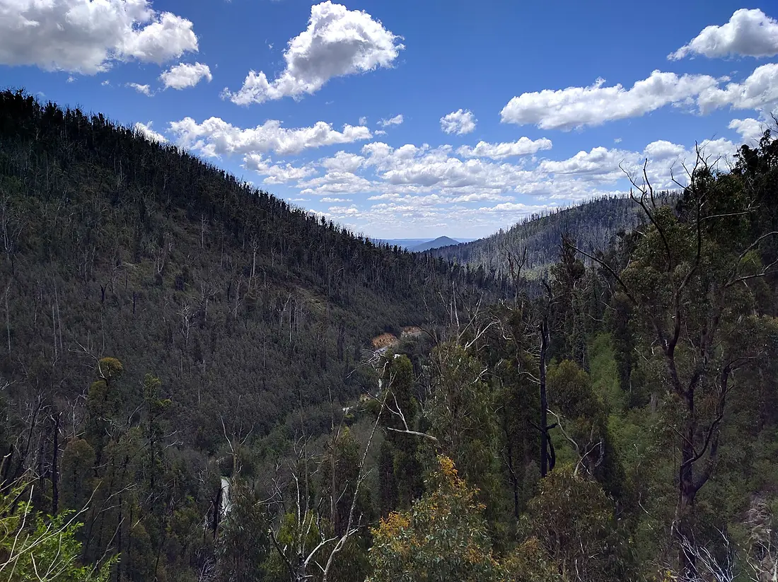 Look out on top of Steavenson Falls