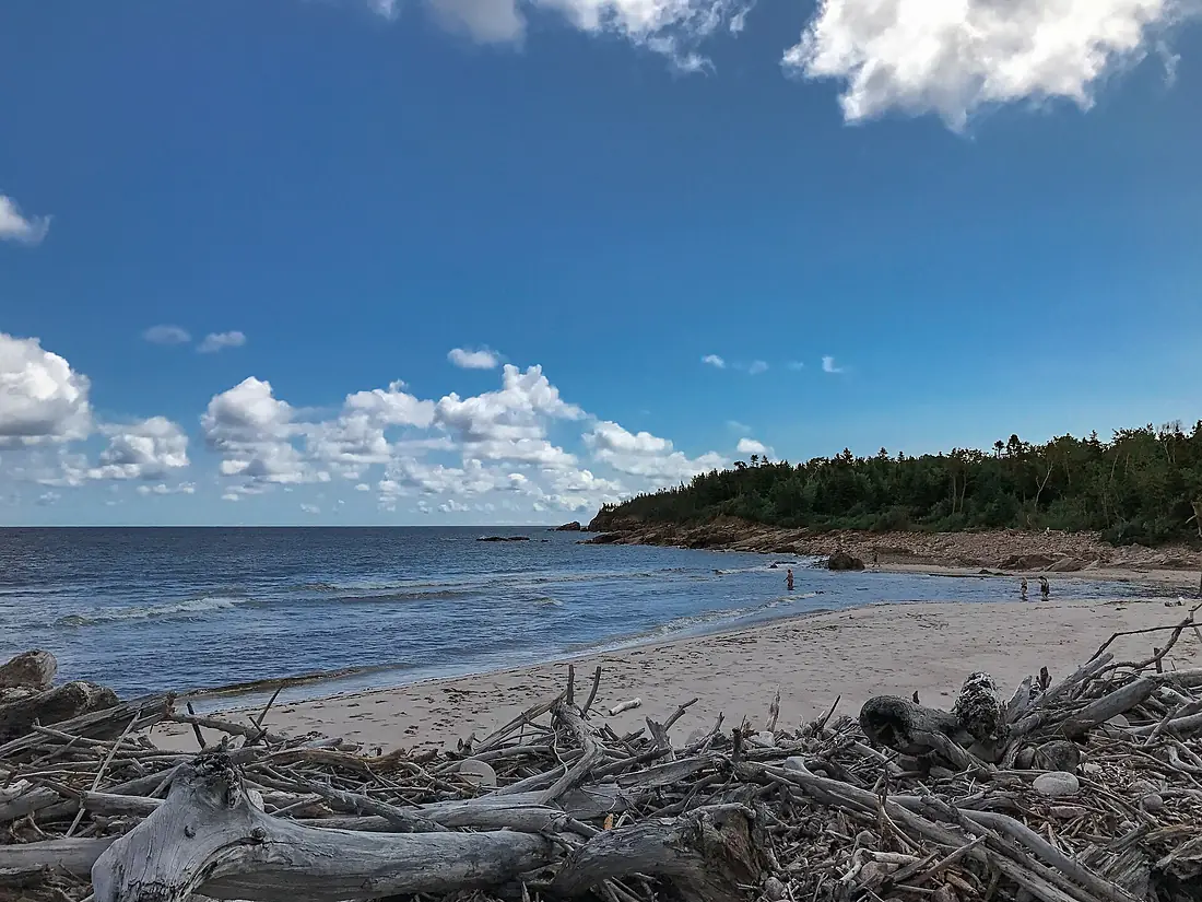 Black Brooke Green Cove Cabot Trail Nova Scotia Canada-2 (27447976389)