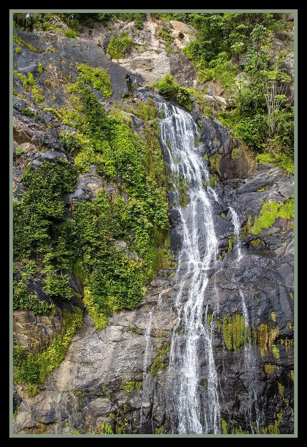 Kuranda Stoney Creek Falls-1 (8240796746)