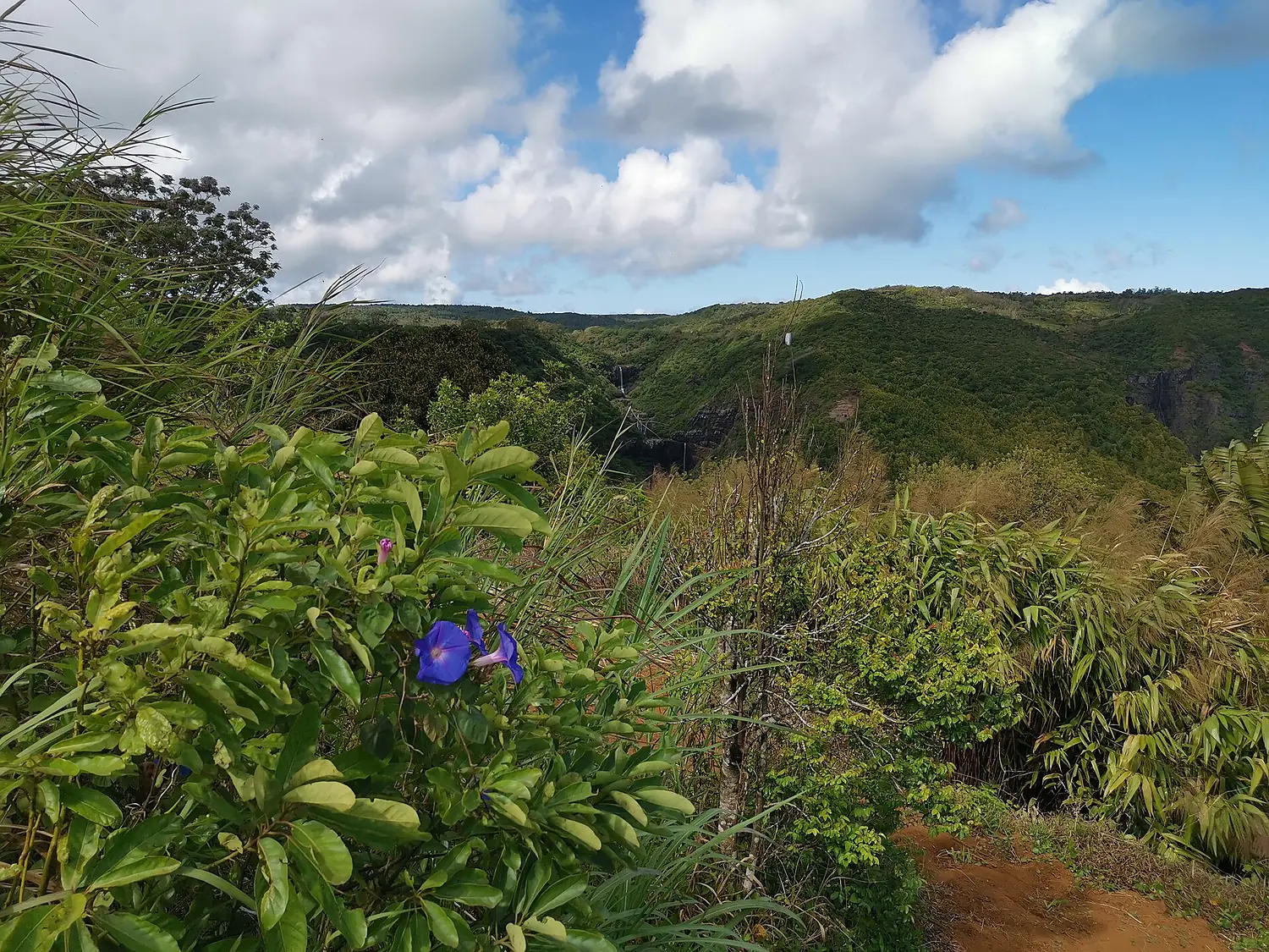 Tamarind Wasserfall Fernsicht 2019-09-30