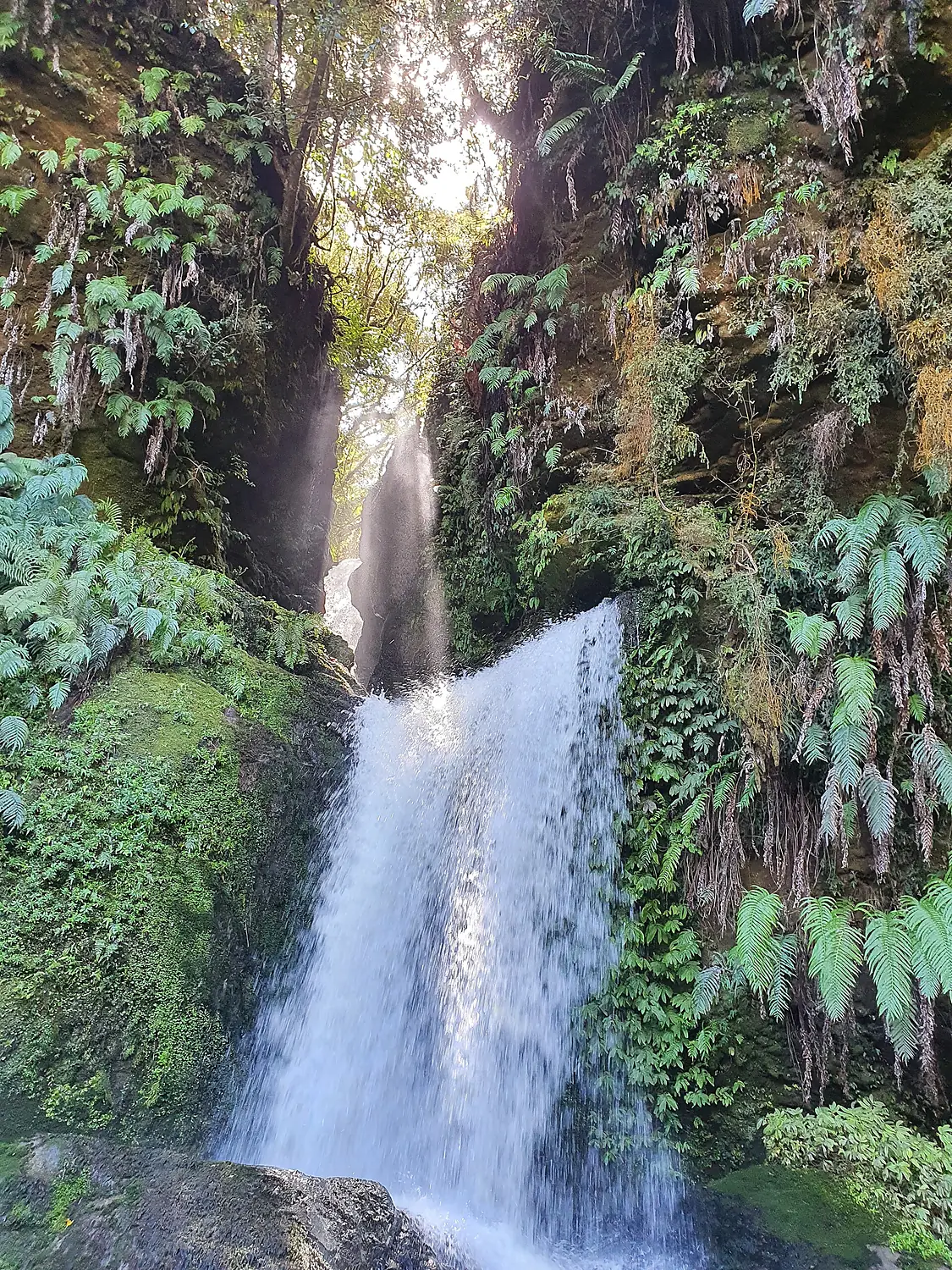 Tawarau River