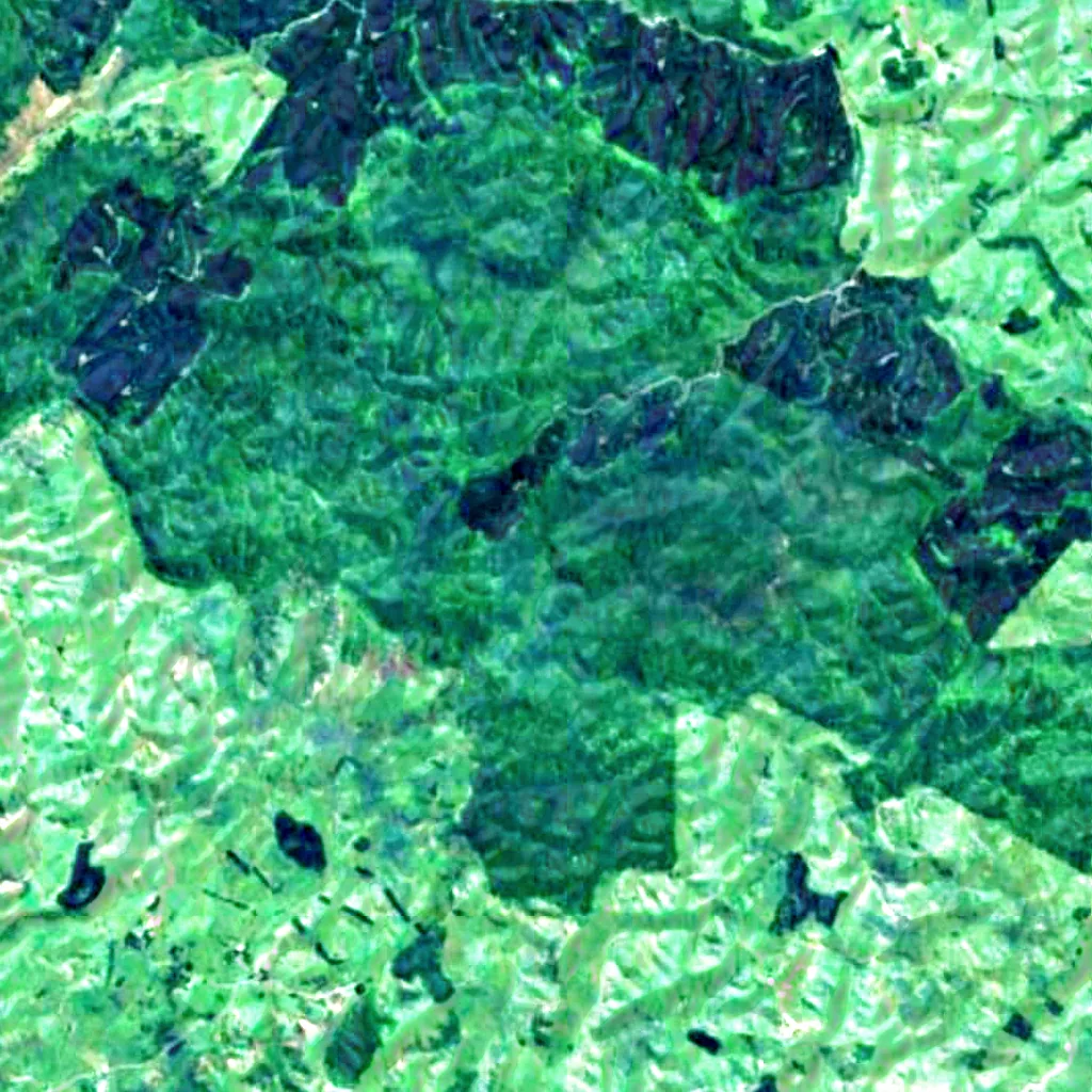 Tawarau Falls seen from above (Sentinel-2)