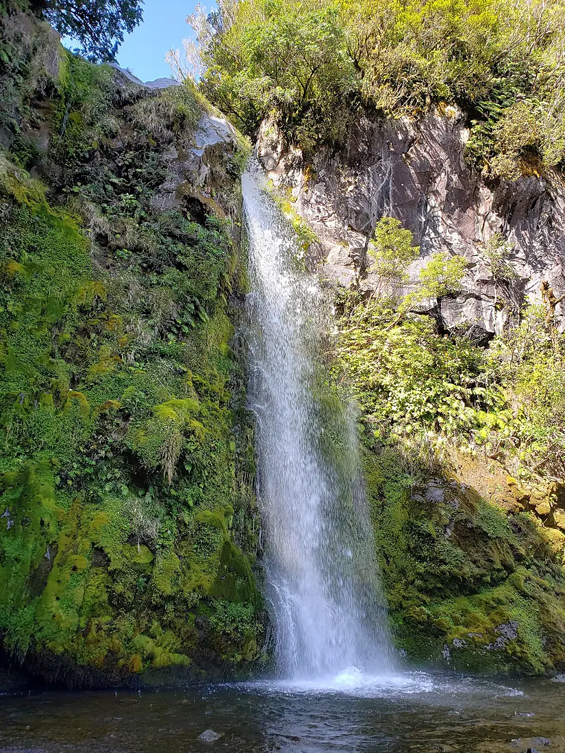 DawsonFalls Taranaki1