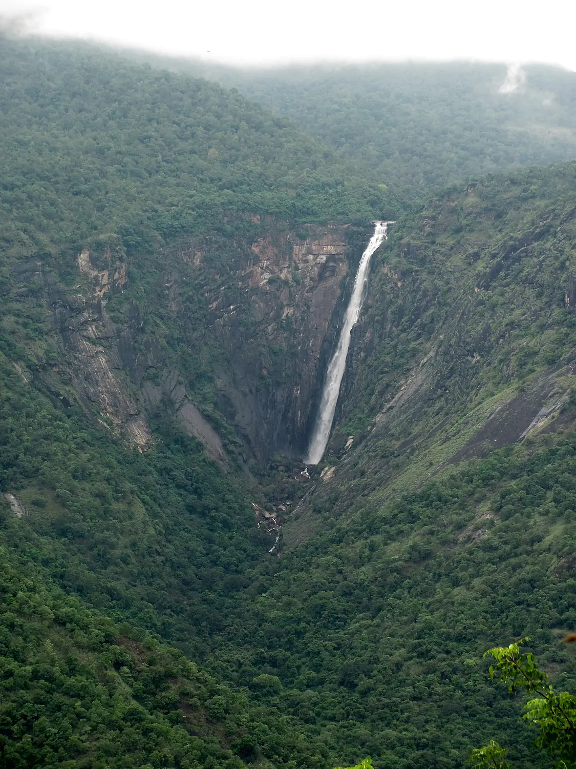 Rattail falls