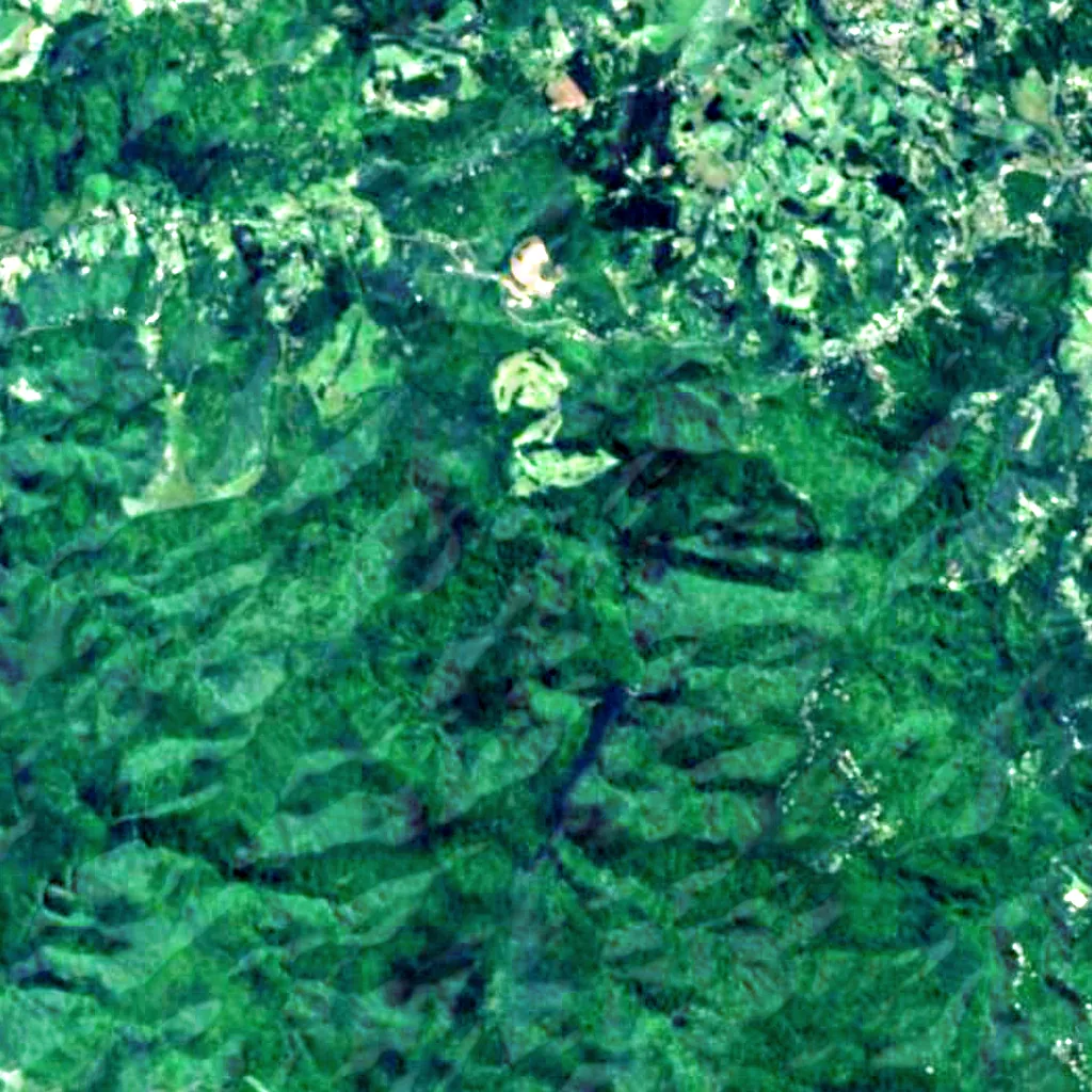 The Cascades seen from above (Sentinel-2)