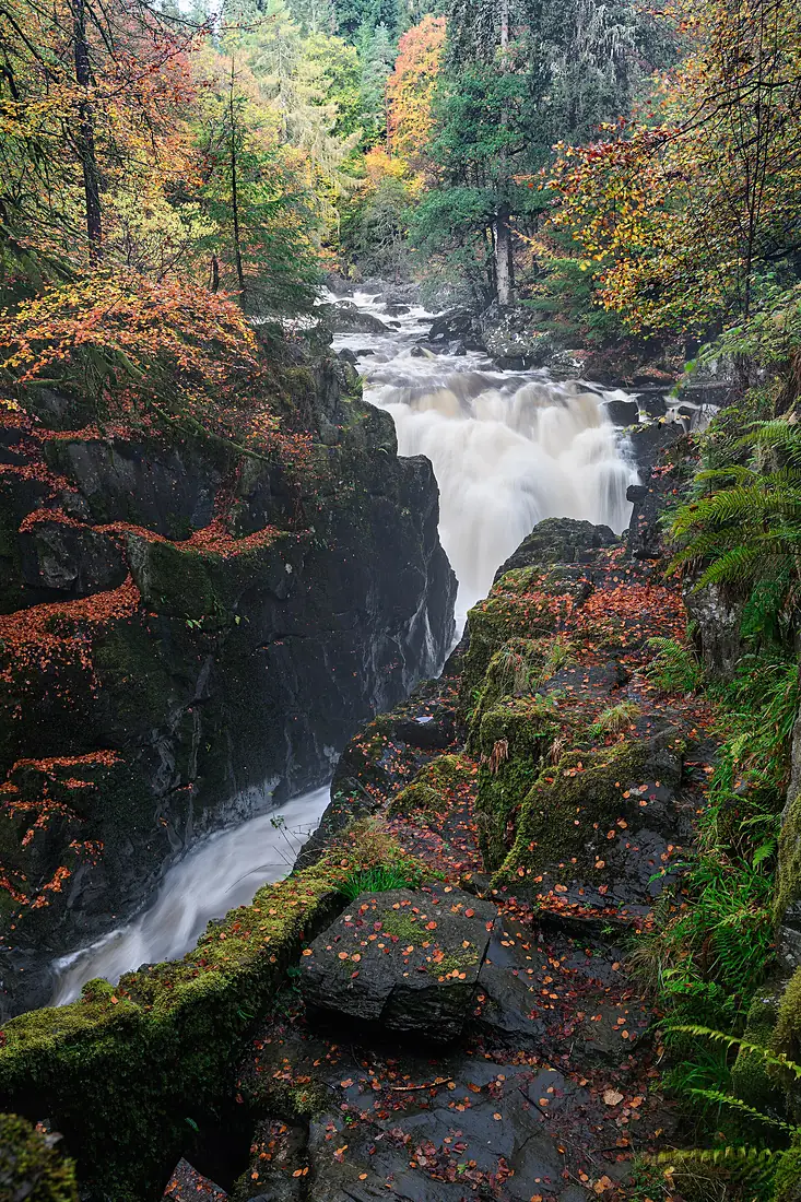 The Hermitage Waterfall View