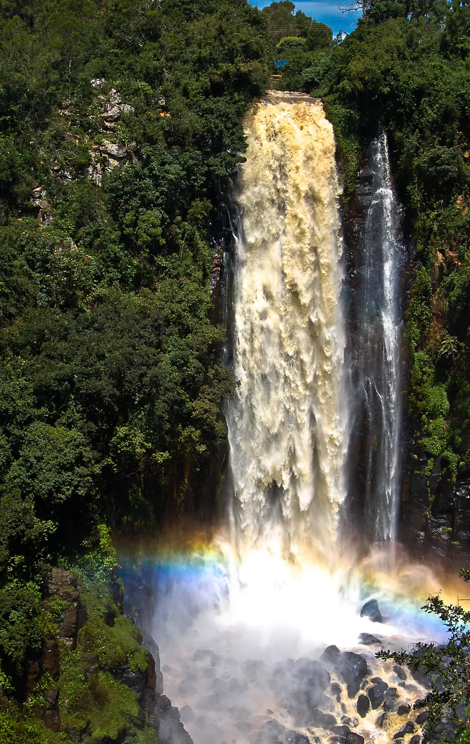 Thomson's Falls