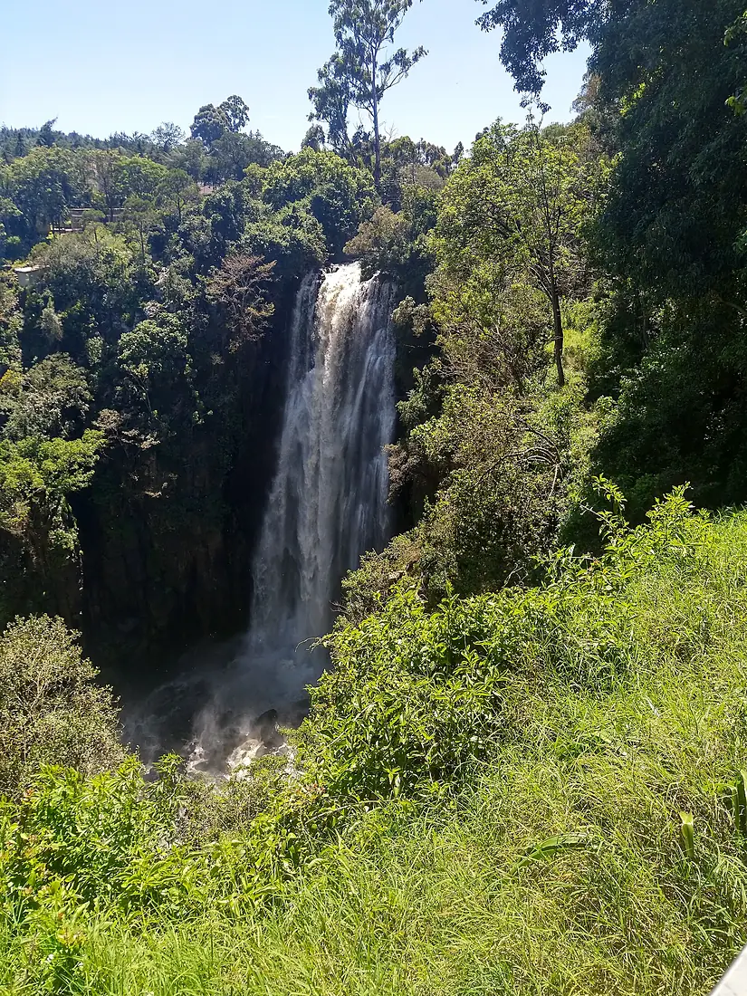 Thompson falls 2021