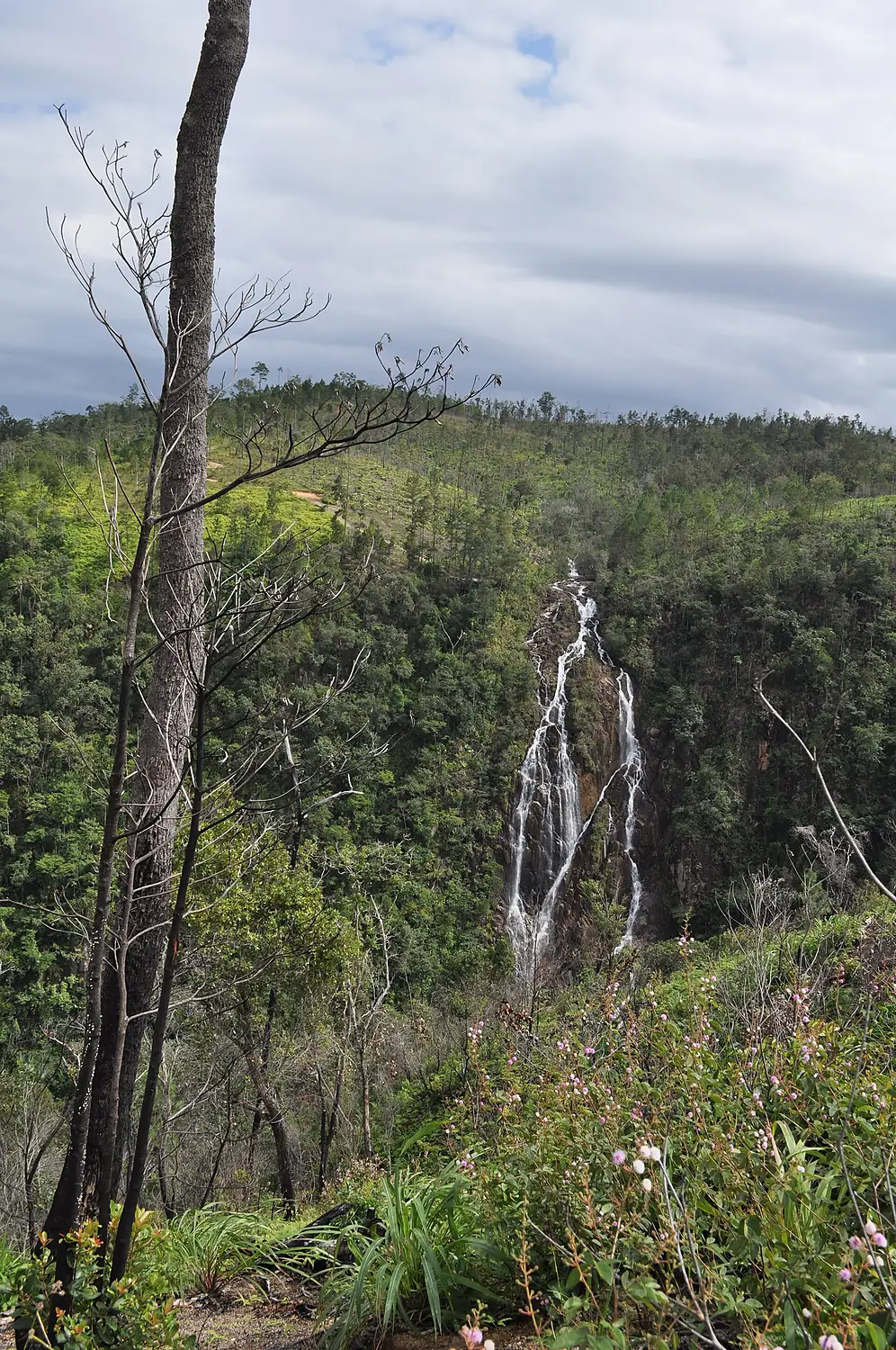 1,000 Foot Falls, Cayo District, Belize