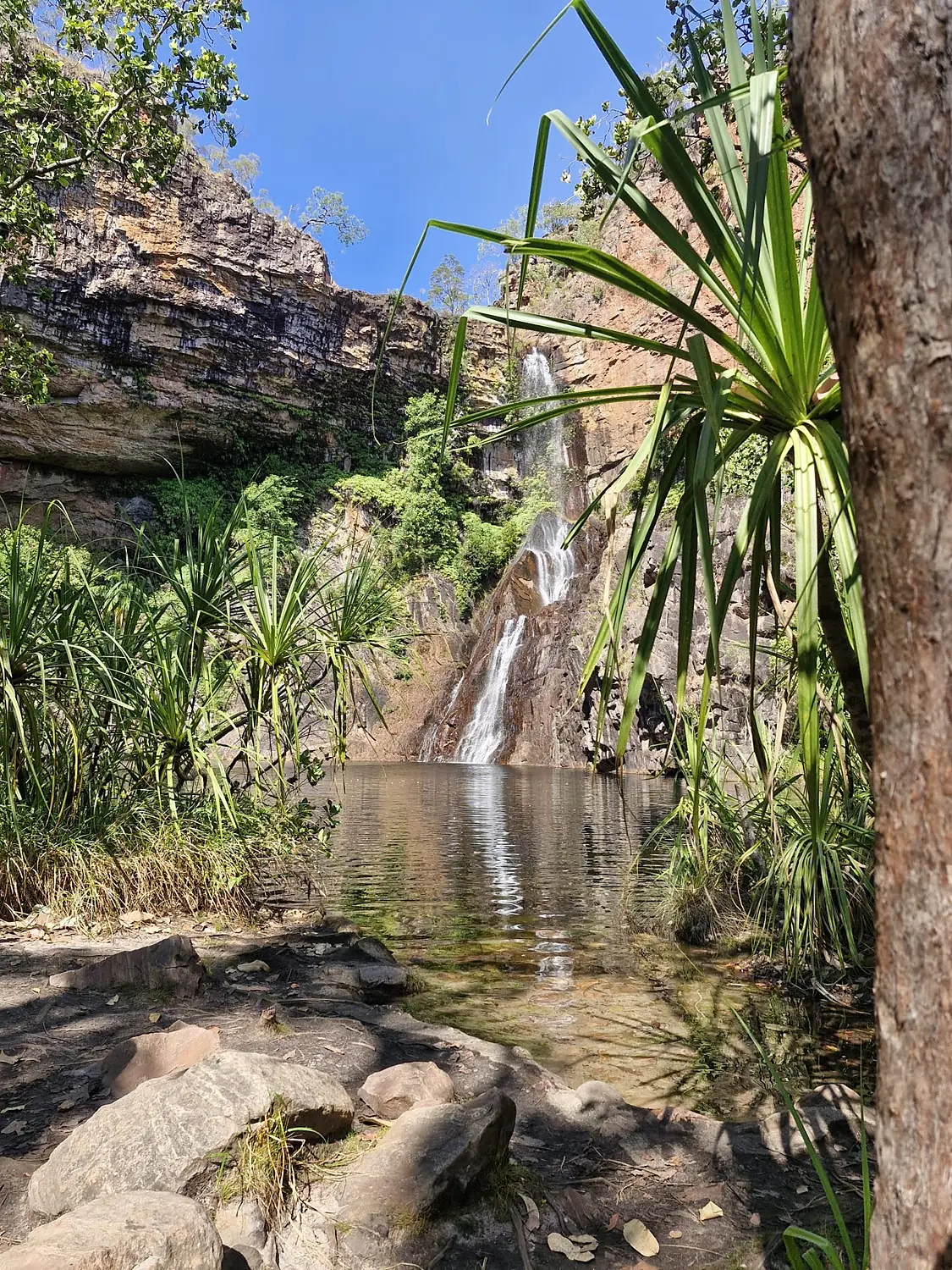 Tjaynera Falls (Sandy Creek)