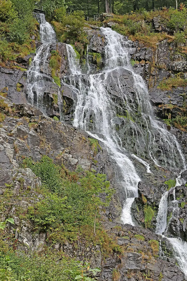 00 0838 Todtnauer Wasserfall