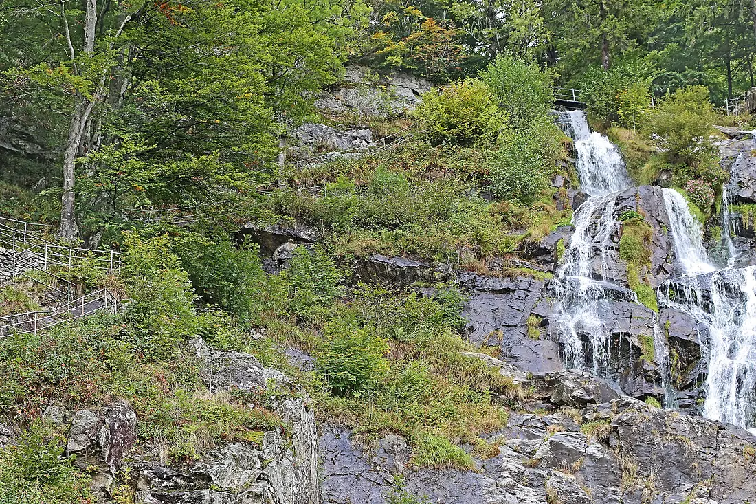 00 0841 Todtnauer Wasserfall - Schwarzwald