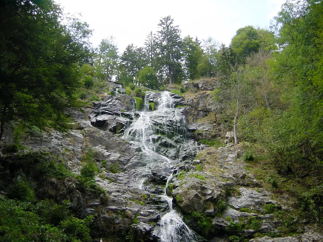 2003-08-16 08-22 Schwarzwald 063 Triberger Wasserfall (4419899070) (2)
