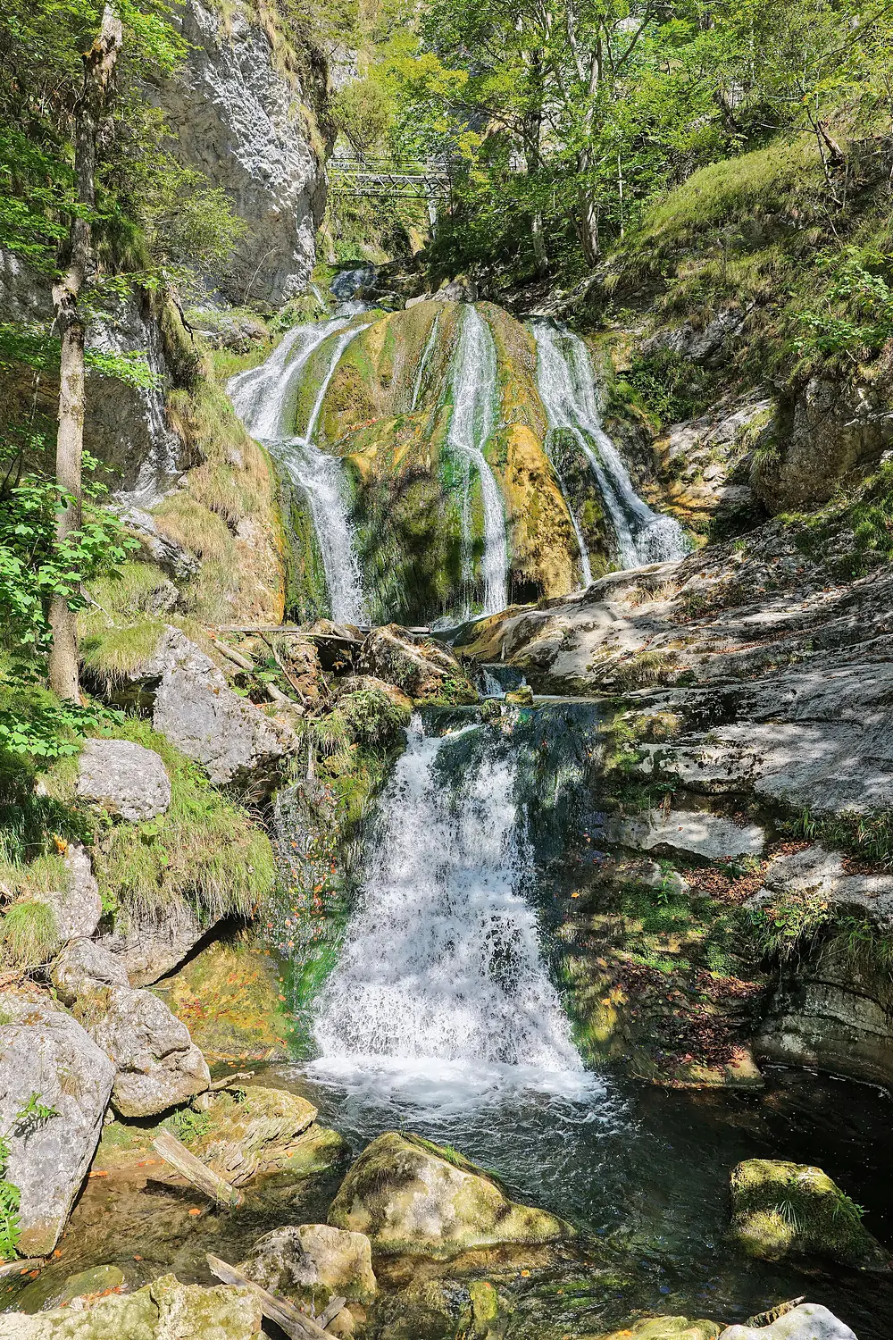 Puchenstuben - Trefflingfall (a)