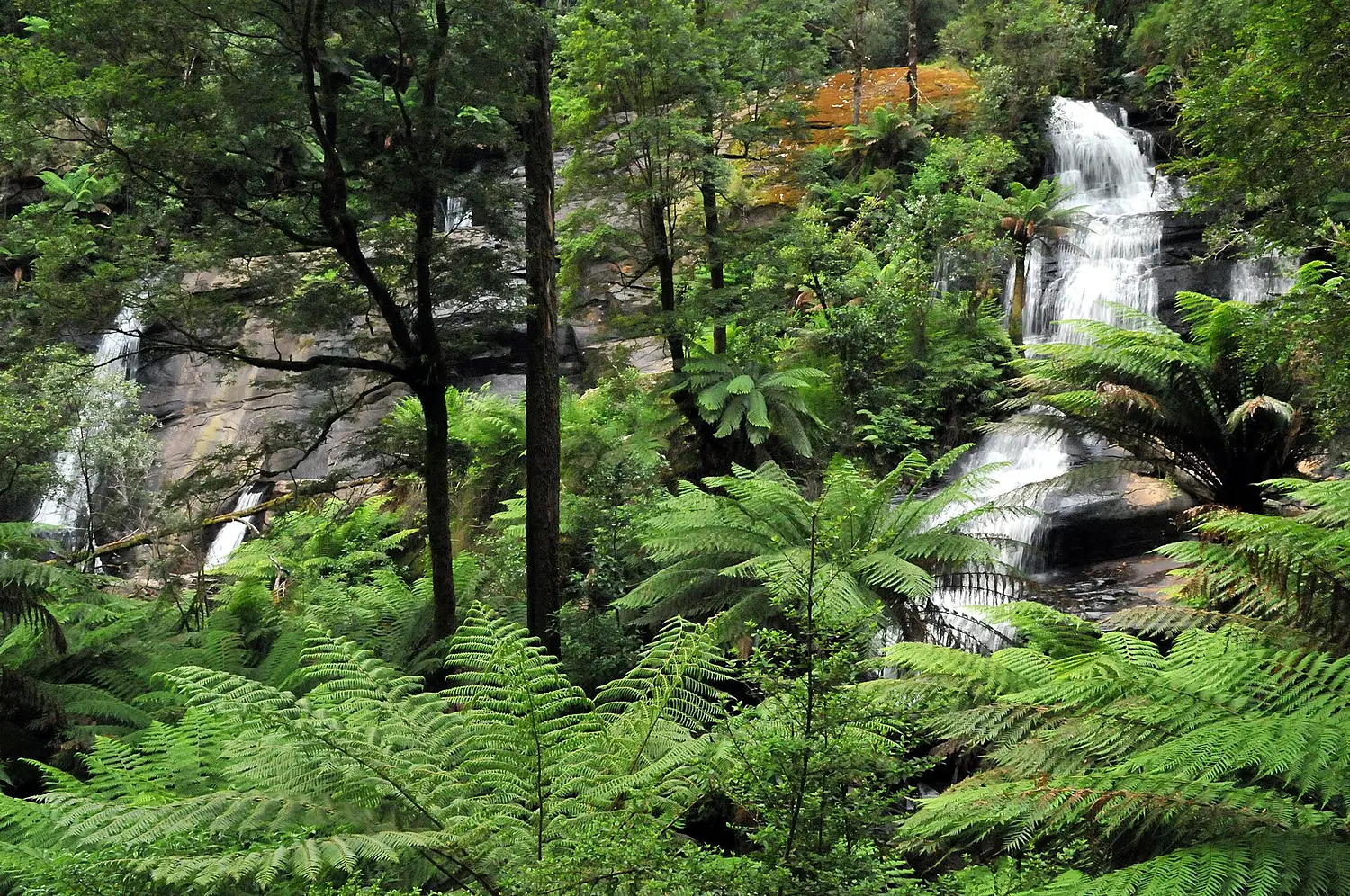 20100102 Triplet Falls - Otway Ranges - Victoria - Australia