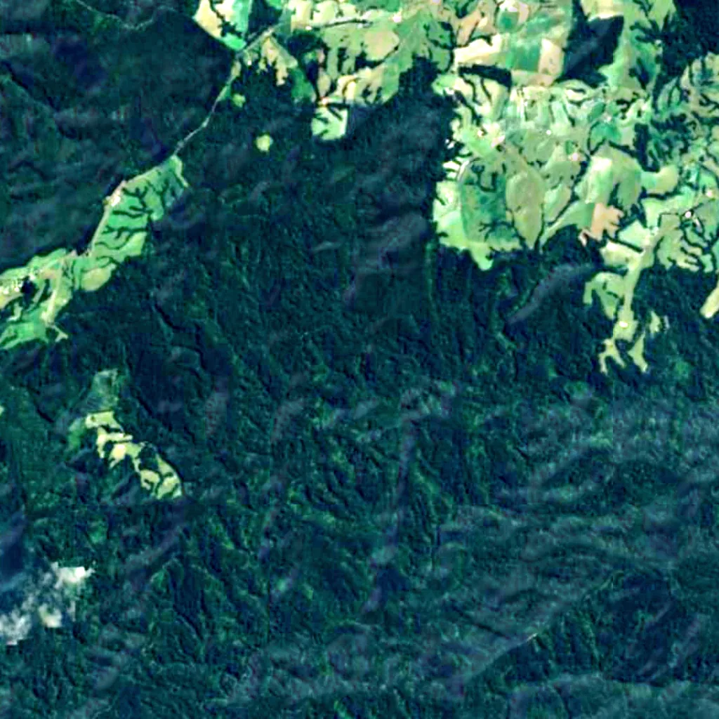 Triplet Falls seen from above (Sentinel-2)