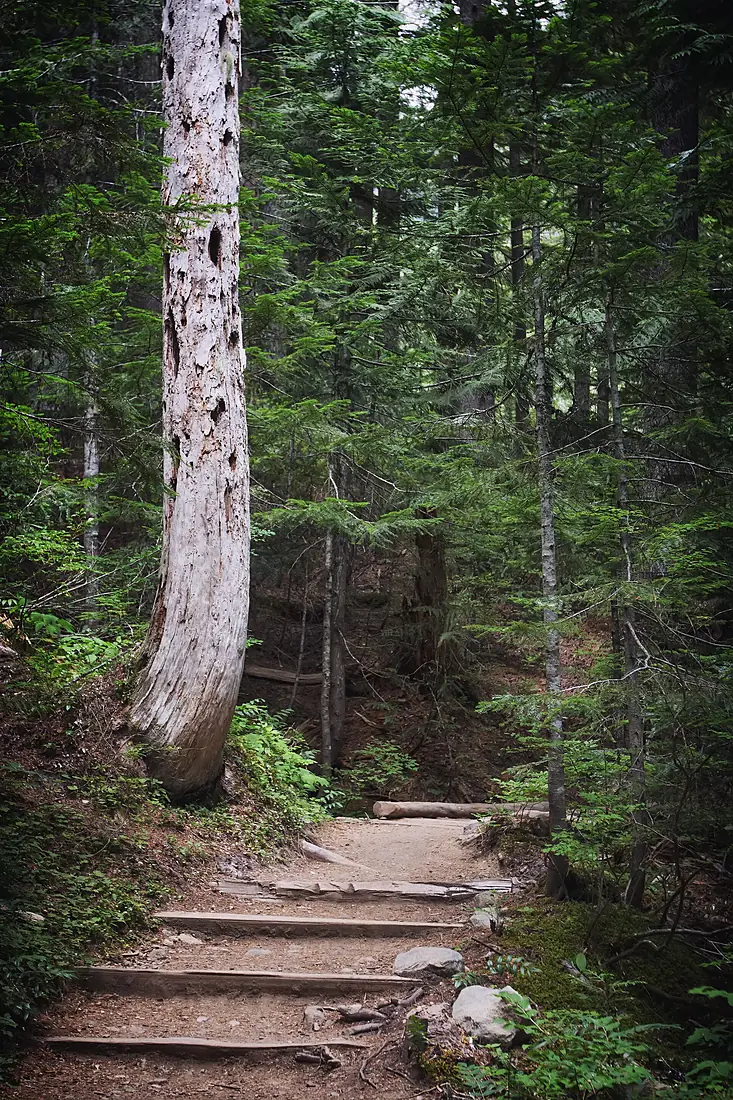 MRNP — Van Trump Park Trail, 002