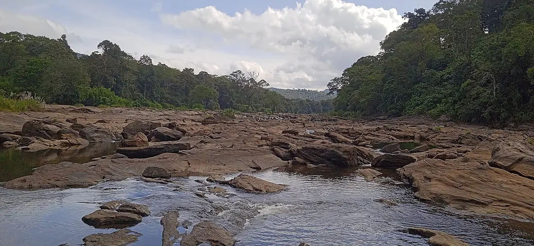 Chalakudy River Basin (11)