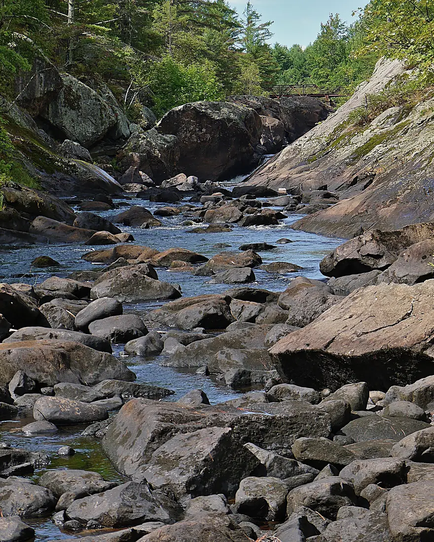 The Black River south of the Victoria Falls